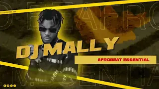 DJ MALLY | AFROBEAT ESSENTIAL MIX 2024