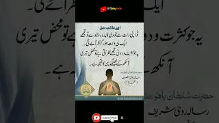 Ay talab e haad islamic Quotes/#shorts #youtube  #youtubeshorts