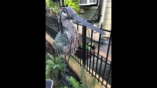 Shaping the Neck for a Garden Heron Paverpol Sculpt