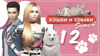 The Sims 4 Кошки и собаки: #12 "Рождение малыша"