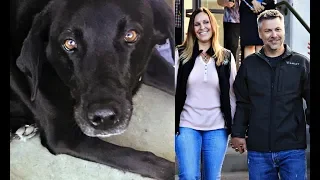 Дочь обвинила отца в домогательствах, но собака помогла спасти его от 50 лет тюрьмы