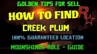 How to find the CREEK PLUM for Moonshiner Role, Where to find Creek Plum Red Dead Online #rdr2