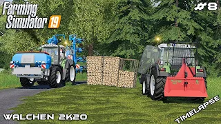 Removing fallen trees & planting corn | Animals on Walchen | Farming Simulator 19 | Episode 8