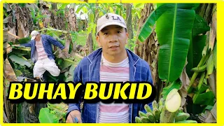 SAGING PARA MGA KABABAYAN NATING SA METRO MANILA ||PANGASINAN || Daddy Frankie vlogs