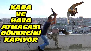 KARA VE HAVA ATMACASI GÜVERCİNE DALIYOR ARALARINDA Kİ FARK NEDİR? human and hawk