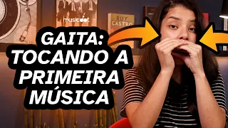 Gaita Diatônica : Tocando a primeira música (Aula para iniciantes)