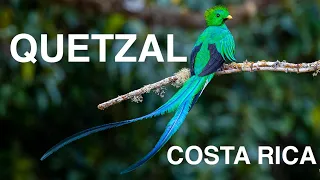 COSTA RICA | The Elusive Quetzal Bird, Nature, Mountains, Friends and Family