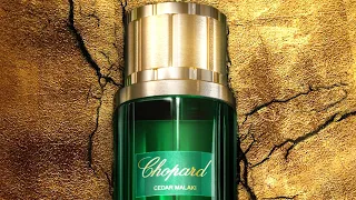 Chopard Cedar Malaki и парфюм на каждый день.