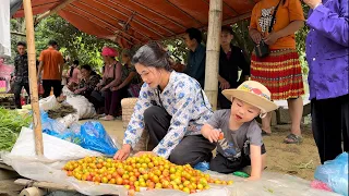 Single Mother 17 Years Old - Harvests plums & sells at the market with her son David - ly tu ca