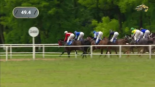 Большой Летний Приз(2000 Guineas). группа I. 05.06.2021. Павловский ипподром