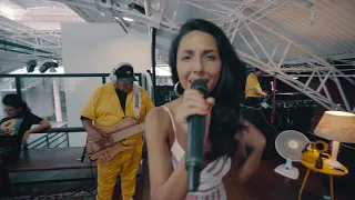 Sunflower Jam - Desperdiçou (Cover) feat. Maíra Guedes