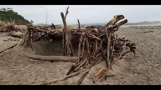 Beach  "Sasquatch Structure" - Human made? Tree/Stick Structure Phenomenon?