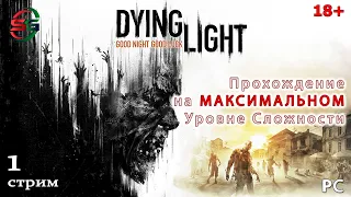 Прохождение игры Dying Light на максимальном уровне сложности - 1 Стрим - SteepGamer