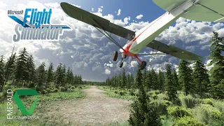 Building a Backcountry Airstrip | Progress Update! | MSFS 2020