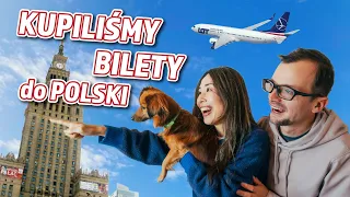 Kiedy lecimy do Polski z pieskiem? 🐶