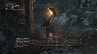 (HD) Shadows of Yharnam BL4 NG+6 no roll/dash (no runes, buffs, chalice gems)