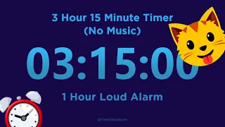 3 Hour 15 minute Timer Countdown (No Music) + 1 Hour Loud Alarm