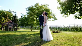 Panka & Zsolti - Wedding Highlights 4K | Precam Media