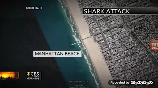 Shark attacks