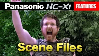 Panasonic HC-X1 Scene Files | The Cinematic Look & Other Styles | Tutorial