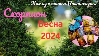 СКОРПИОН♏ВЕСНА 2024🌈КАК ИЗМЕНИТСЯ ВАША ЖИЗНЬ?🍀МЕСЯЦЫ: МАРТ, АПРЕЛЬ, МАЙ✔️ГОРОСКОП ТАРО Ispirazione