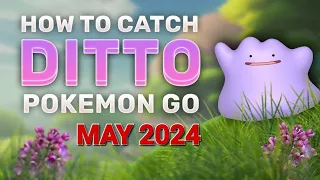 Ditto disguises for May 2024 in Pokémon GO!