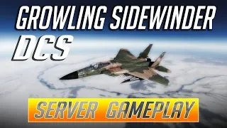 DCS: F-15 Eagle Online Server Gameplay