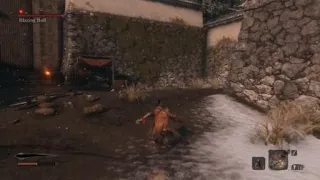 Sekiro Blazing Bull Reaction