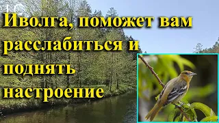 Наполните сердце теплотой и умиротворением.  #музыкадлясна