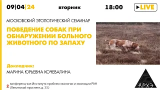Семинар "Поведение собак при обнаружении больного животного по запаху" // Марина Юрьевна Кочевалина