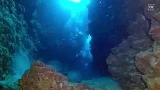 Diving Safari. Blue Hole. Dahab Canyon.