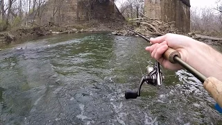 TROUT FISHING with White Rooster Tail Spinner