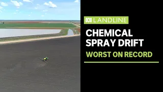 Drift from chemical spray causes millions in damage to cotton crops | Landline