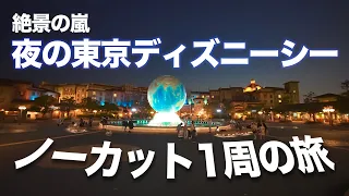 【絶景の嵐】夜の東京ディズニーシー1周の旅