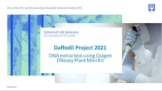 Video 1: DNA Extraction using Qiagen DNeasy Plant Mini Kit