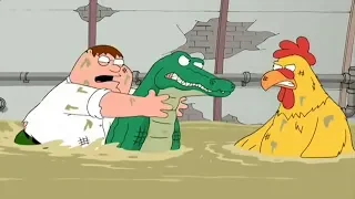 Peter & Chicken vs Crocodile