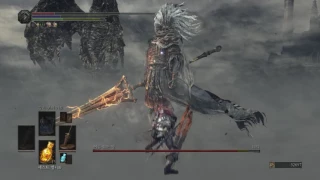 Dark Souls 3 Nameless king NG+7, NO DAMAGE