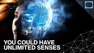 You Could Hack Your Brain To Have Unlimited Senses