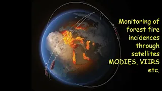 Forest fire mitigation