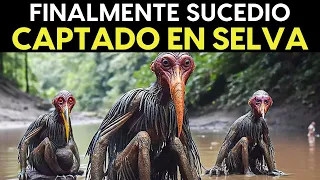 Lo Grabaron En La Selva Amazónica Y NADIE Lo Puede Creer!