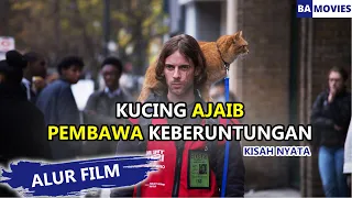 KUCING OREN PERUBAH NASIB GELANDANGAN 😸 Rangkuman Film A STREET CAT NAMED BOB