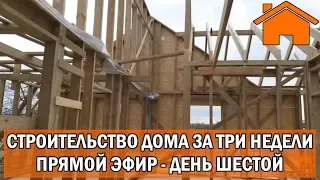 Строительство дома за 3 недели, прямой эфир. День шестой.