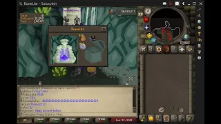 How to Efficiently Earn Points in Raids as a level 3 Ironman