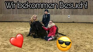 Wir bekommen Besuch von Marina und die Ponys | Bodenarbeit | Ohne Sattel unterwegs