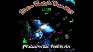 Electro Freestyle Music 2023 Vol 15 Set Compilated By Norman