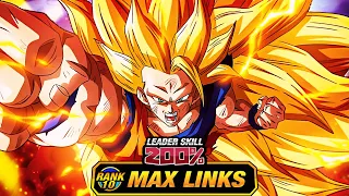 BEST TUR!!?!?!?!? LEVEL 10 LINKS 100% STR DRAGON FIST SSJ3 GOKU! (DBZ: Dokkan Battle)