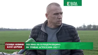 ПОСІВНА НА БІЛОЦЕРКІВЩИНІ: ЯК ТРИВАЄ АГРОСЕЗОН 2021?