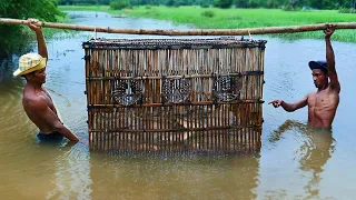 Believe This Fishing ? Build Unique Primitive Fish Trapping Tool Using Traditional Bamboo Cage