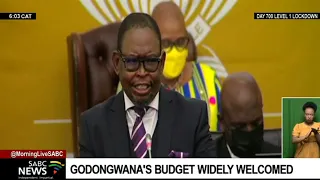 Budget 2022 | Godongwana's budget widely welcomed