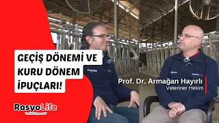 Geçiş Dönemi ve Kuru Dönem İpuçları (Prof. Dr. Armağan Hayırlı)